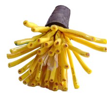 ����ѶKVV�ź��� 