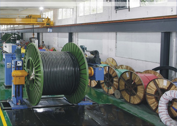 ����Ѷ������������(4)