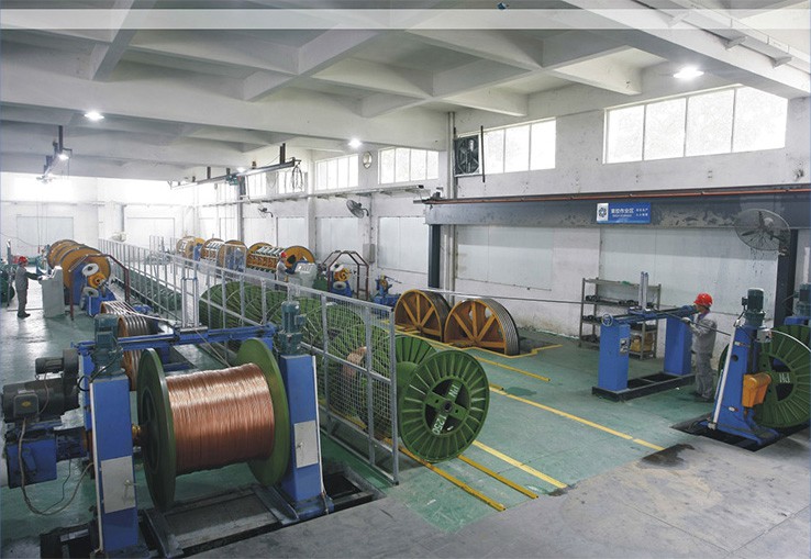 ����Ѷ������������(5)